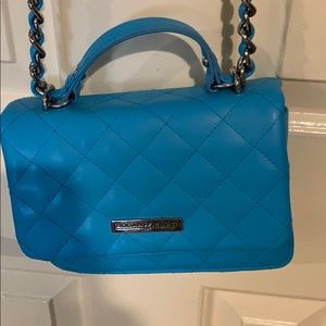 Gorgeous Turquoise Purse from Rodan + Fields